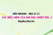 Các biểu hiện của khí hậu nhiệt đới ẩm gió mùa ở Việt Nam nước ta? Địa lí 12 Chân trời sáng tạo